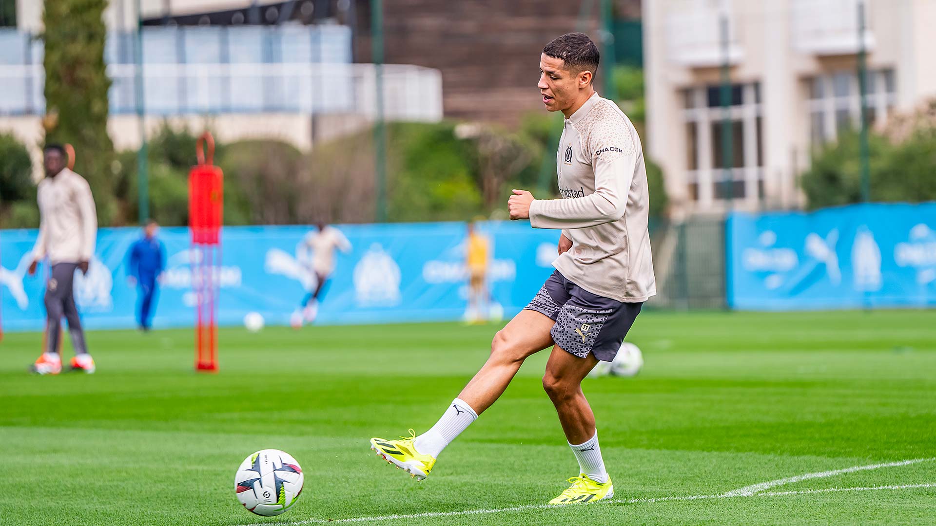 Amine Harit