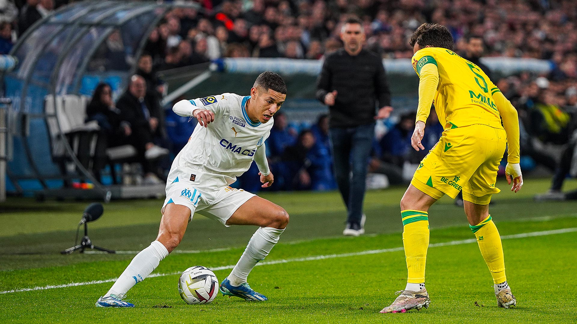 Amine Harit