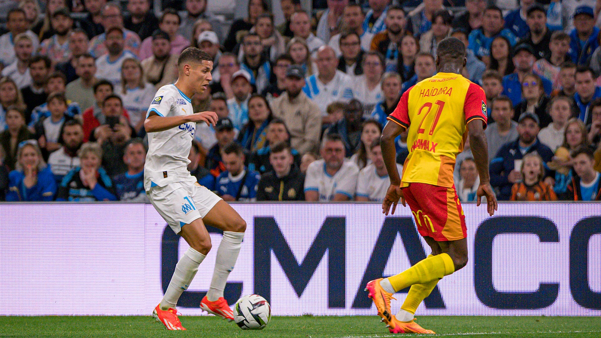 Amine Harit